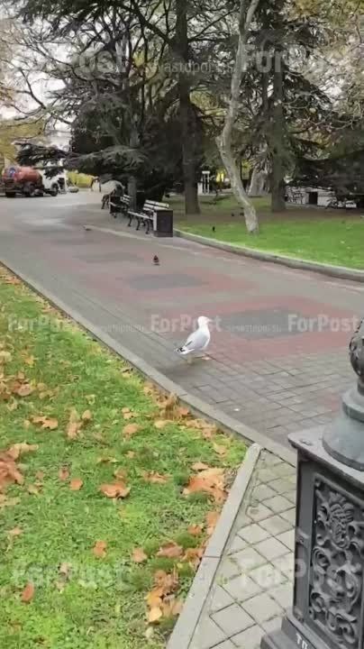 �������� ������ ����������� �� ��������:)