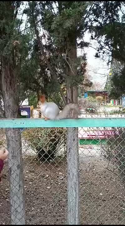 ����� ����������� � ������ ������ �����! �� ���������, ������ �? ������ ����!
