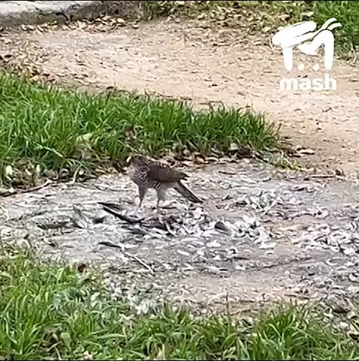 ����� ��� �������� � ����� � �������