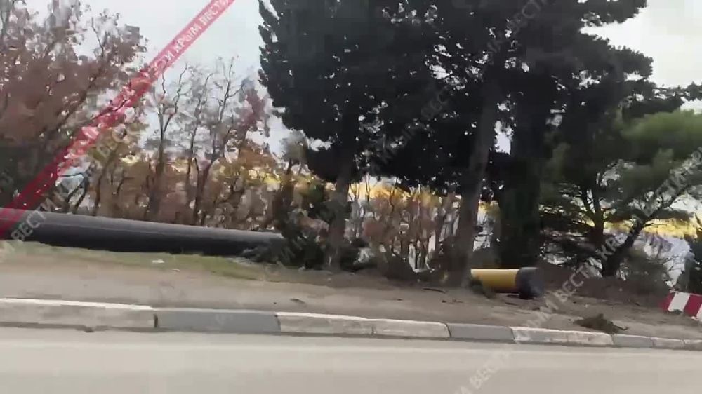 �� ������ �����������-���� � ������ ���� ��������� � ��������� �� ������ ���� ������� ������