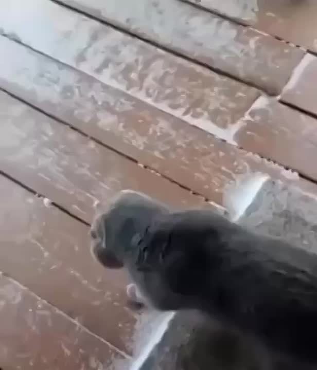  :      ,         