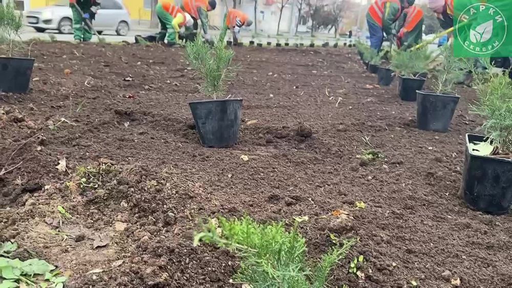 ������ � �������: �� ����������� ���� ������ � 4-� ���������� ����������� �� ���������� ������� � ������� ����������� ����� � �������� ���� � ������������