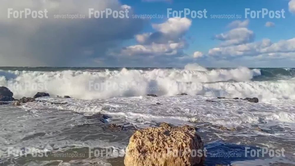 � ���������� ���� ���� ��������� ���� ��� ����� ������ ��� �������
