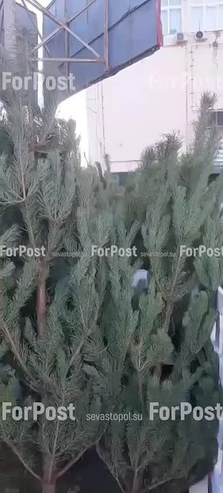 ��� � ������ ���������. ��-�� ����� � � �����������