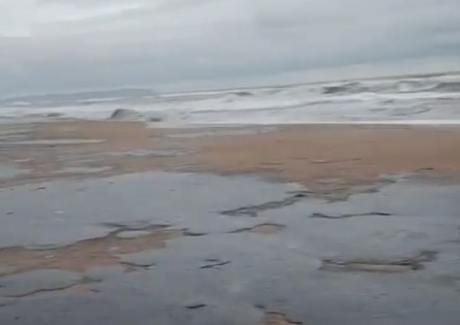 ��������� ������ ������ ����� ����� �� � ���������