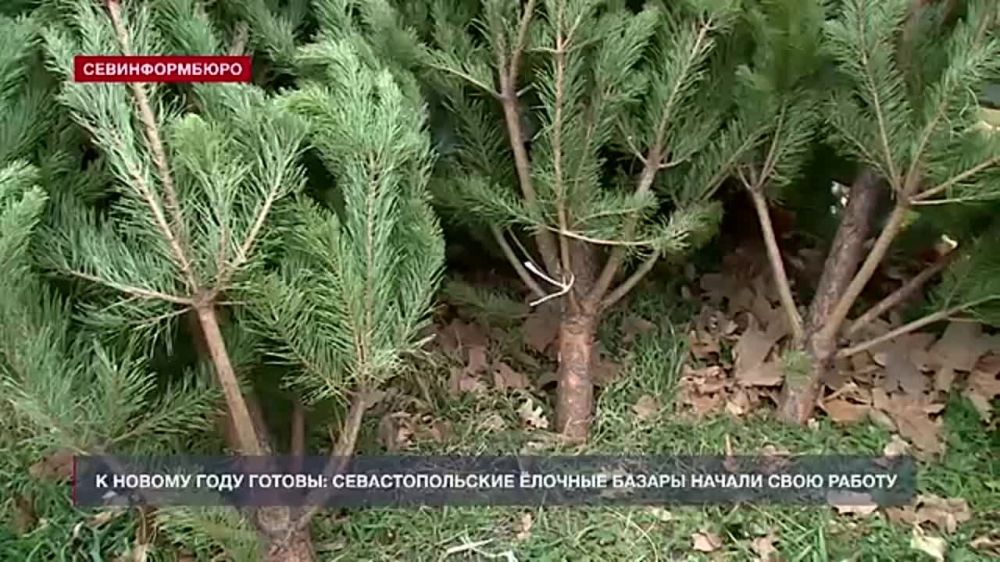 � ������ ���� ������: ��������������� ������� ������ ������ ���� ������