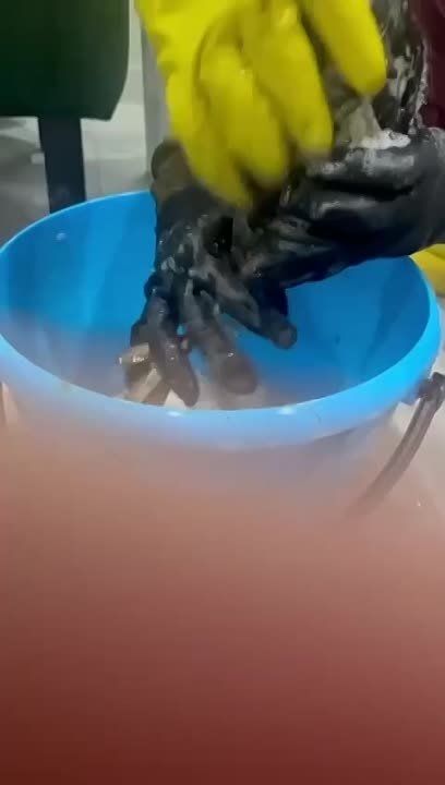 ����� �� � ��������� ����� ������ ����� 40 �� ������������� ���������