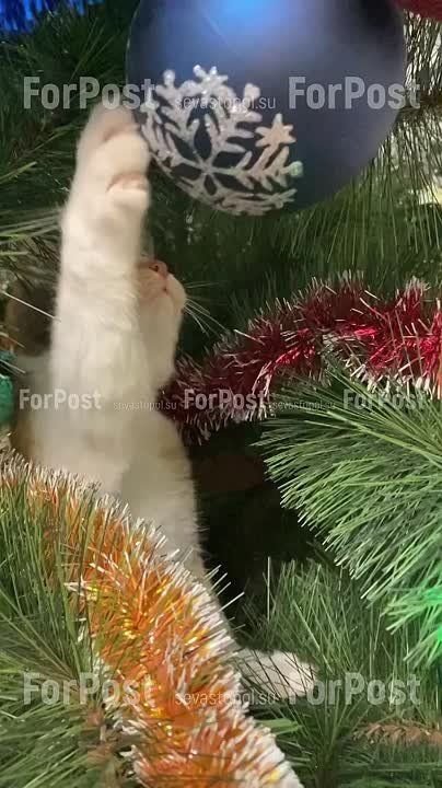 ����� �� � ������� ����� ������ �� ���������� ����:))