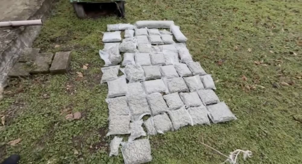 � ������ ����� ������ ����� 24 �� ���������