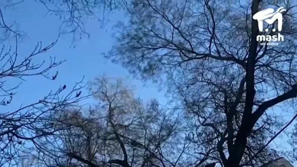 ��������� ������� ��������� � ����������� � ���������