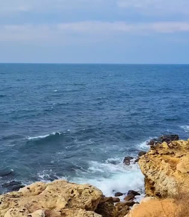 ������ ����, �����������!