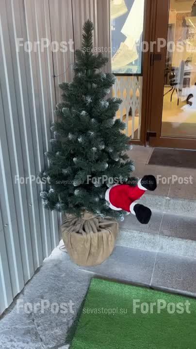 ���-�� �� ������ ��������������� �����������