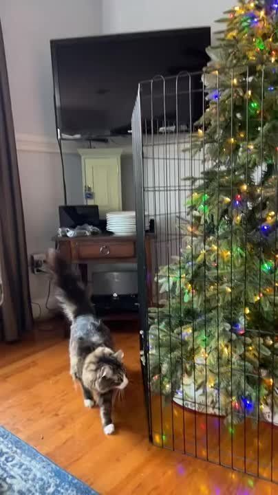 ������ �������� �� �������� ��������� ���������