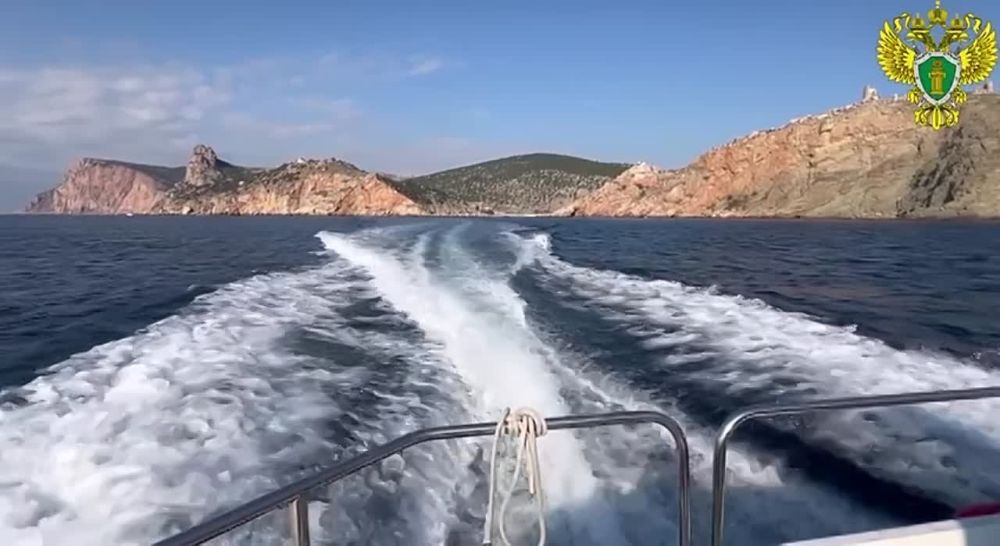 ����������� ��������� �������� � �������� ������ ����������� ��������� � ��������������� ����������� ��������������� ������������ ����������: