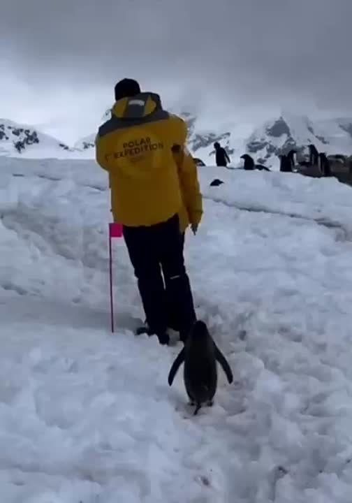 �������� ������� ��� ����������