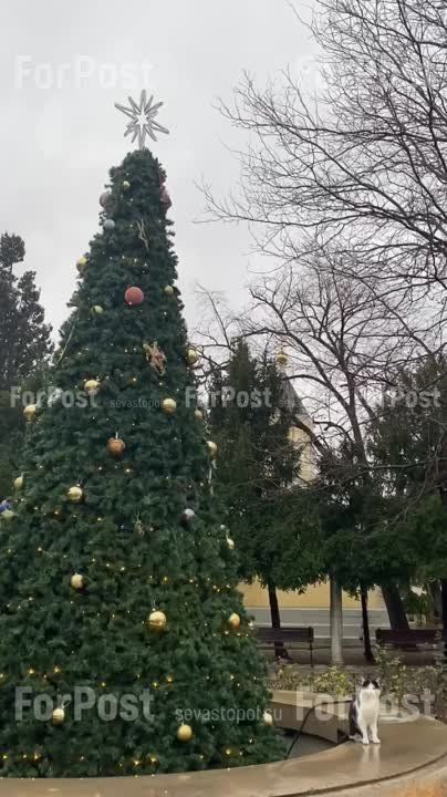 ����������� ������ � ����� ��� � ������ �������