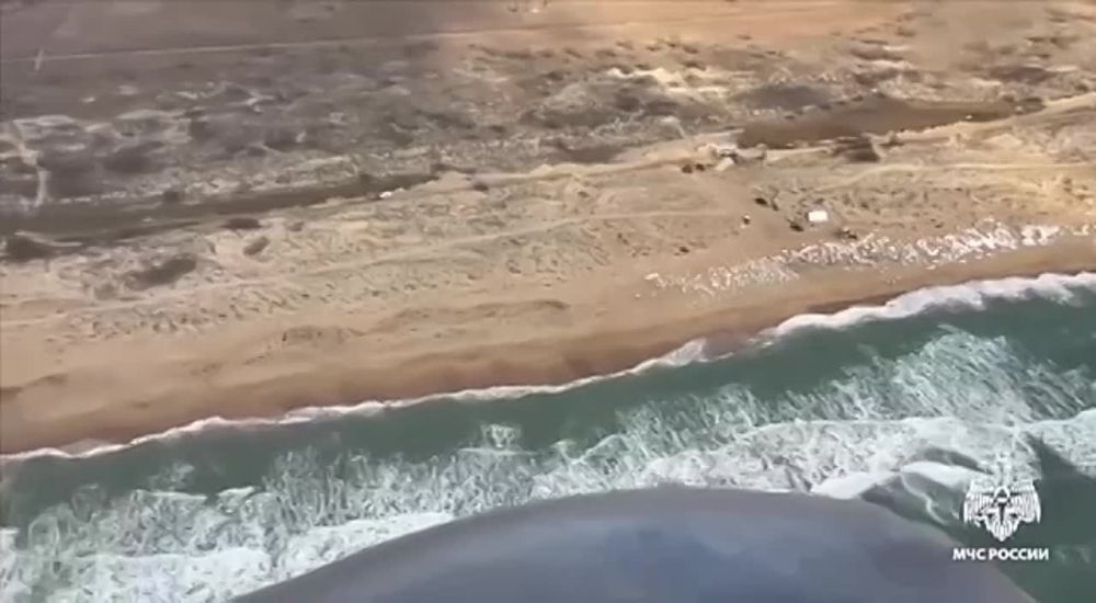 ������ ��������������, �������� �� �������� ������� �� ���� ������, ������� �� ��������� �����