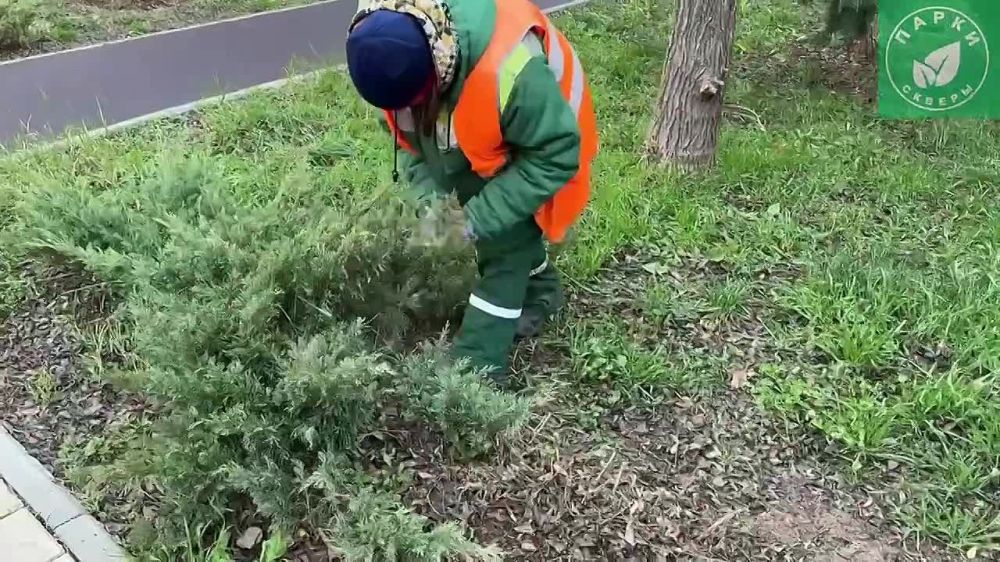 � ����������� � ����� 60-����� ���� ����������� �� ���������� ������� � ������� ��������� ����� �������� � ������� �� � ������� �������, ����������� ������� � ������� ����������
