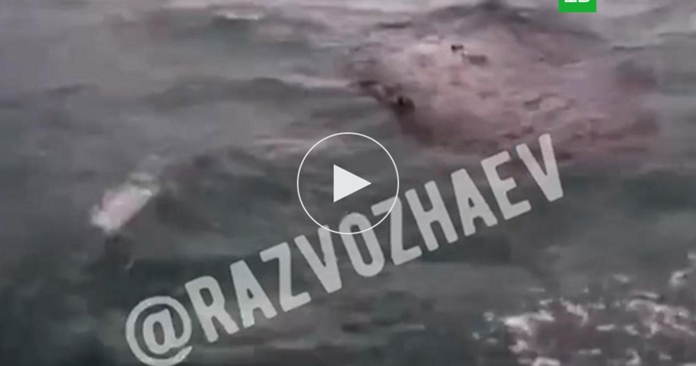 �������� ����� ����� �������� �������� ����� �� �����������