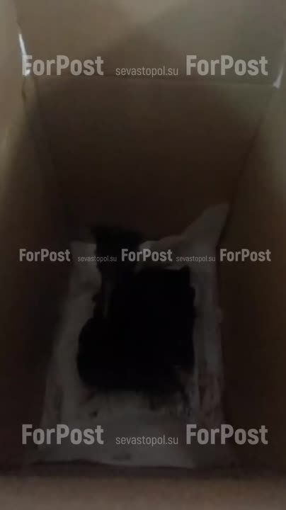 � �������� ���� ���������� ���������� ����������� ��������������� �� ������� ��������� ������������� 3 ��