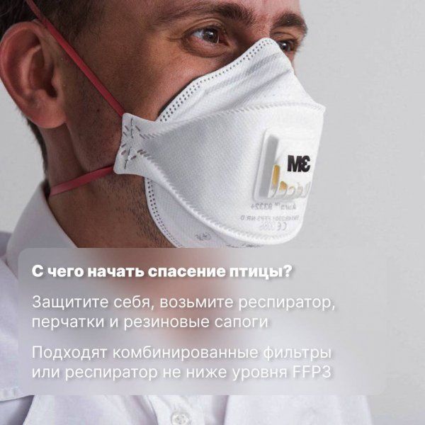 � ����������� �������� ���������� �������� � ������� � ������ ����