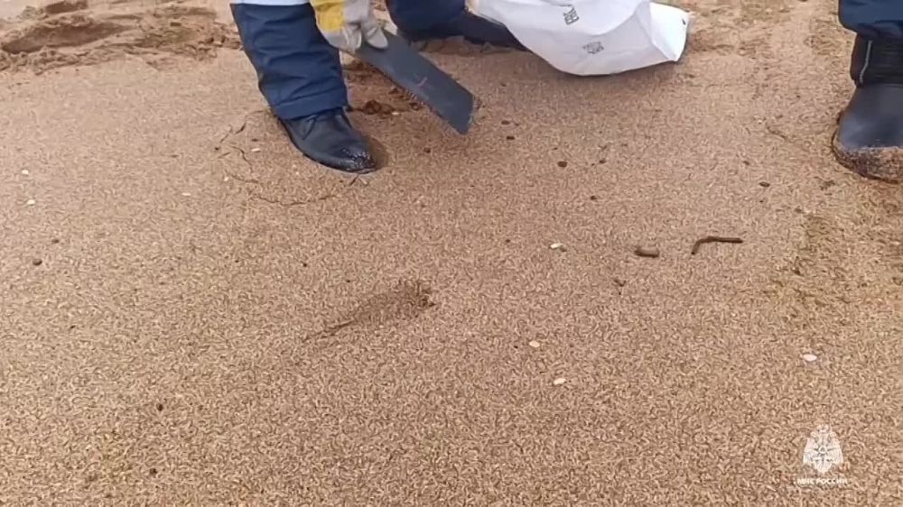 ����� 86 ����� ���� ������������� ������ ������� � ����� � �� ������