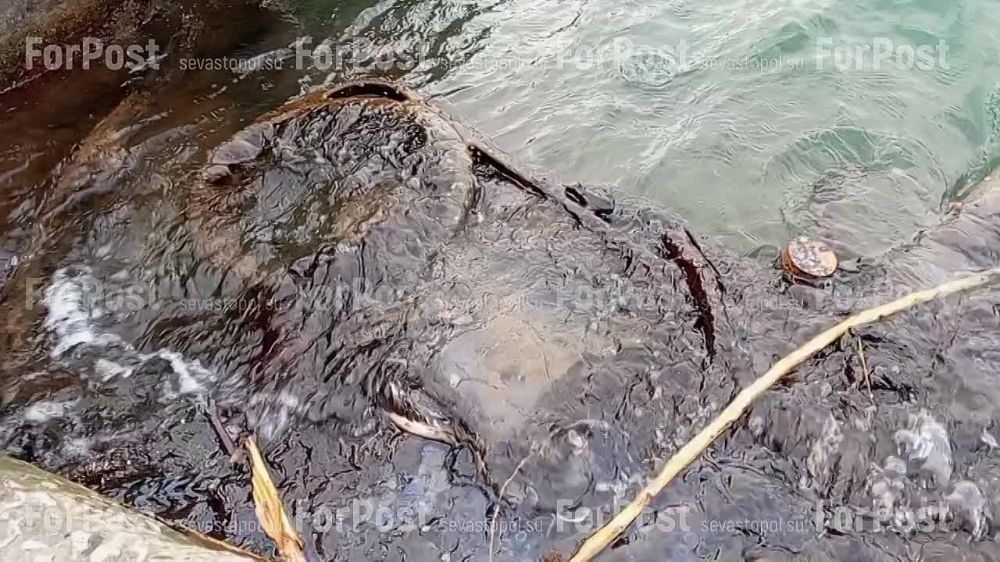 � ����������� ��������� ���� ���������� ��� ������ ������ � ������
