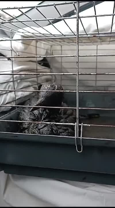 �� ��������� ����������� ������� ���������� ��������������� ���������� ���������� ���������� ���������� ������ ������.