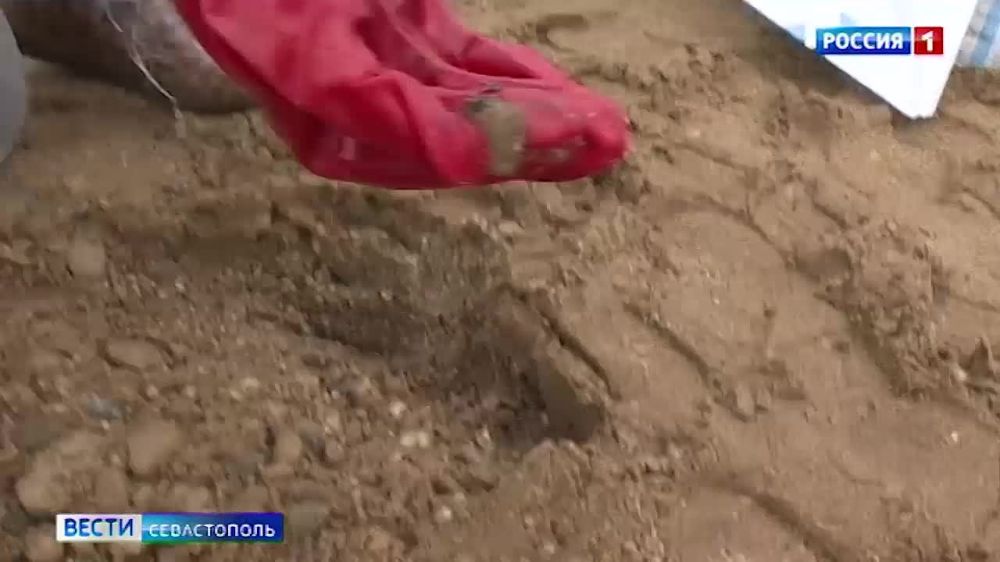 ������ 90 ���� ������������� ������� ������ ��� �������� �� ���� �� ��������������� �����������, ������� ����� �������� ��� ���������� ������� 3�4 ������ ���������