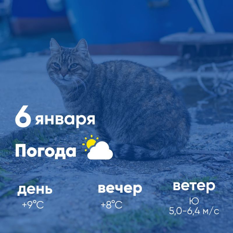 ������ ����, �������������! �������, 6 ������, � ������ ������� � ������������