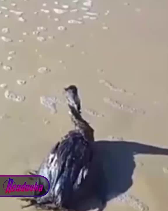 ������������� ��������� �������� �� ����������� ��������� ����������� ������� �� ��������� �����