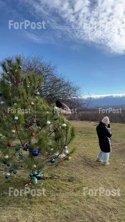 #���_�����. ���������� ���� �� ��������� ������ ������� � ��� �� ������� ���� � �������, ������� ����������� � ��. ����� � �� ��������� � ��� ����, � ��� ������