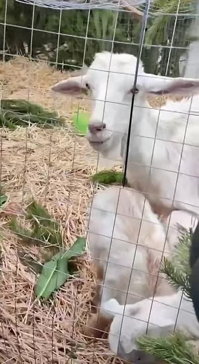 ������� ������!. � �������������� ��� ���� ��� � �������!