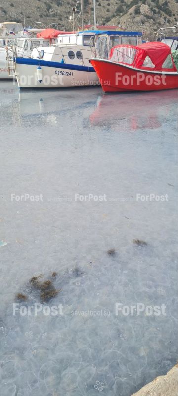 ������������ ����� ����� ���������� ������