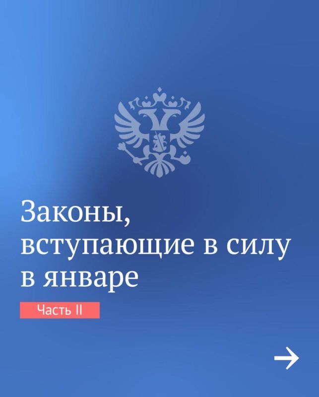 �������� ������: ����� ������ �������� � ���� � ������ 2025 ����