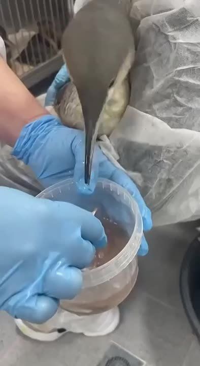 � ������������ �� ����� �����������, 16 ������������ �������������� ����� ������ ������, ������� ���������� �� ������
