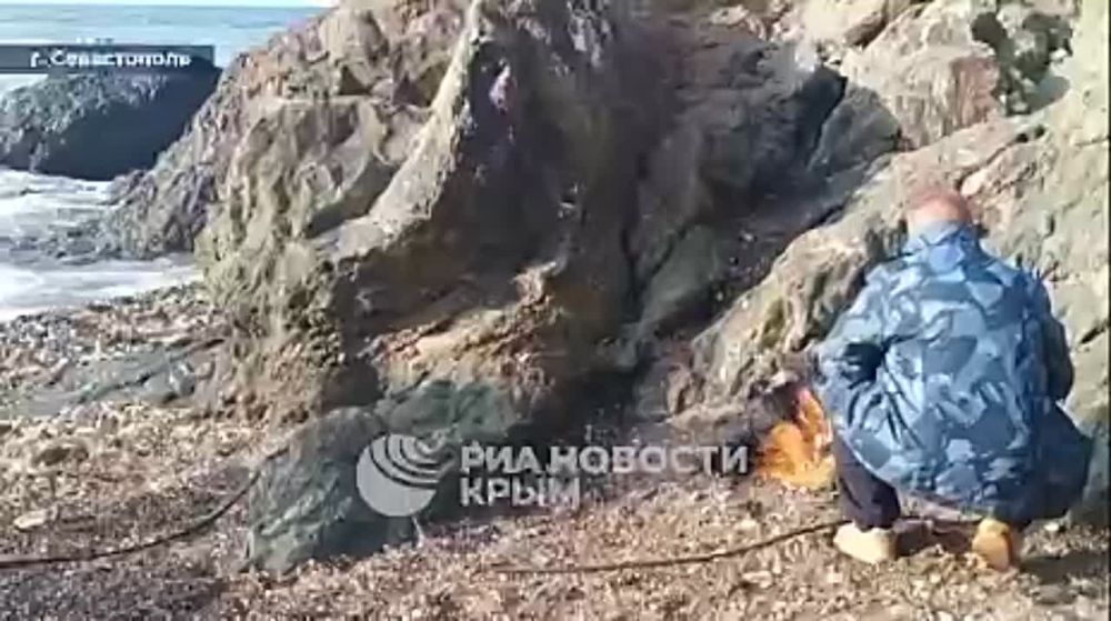 ���������� ����� ����������� ������� �� ������ ������� ���������� � ���������