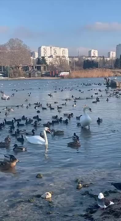 ������ � "��������� ������������ �� ������ ����" � ����������� � ����