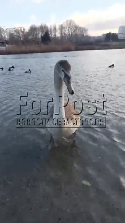 �� ������ ����������� ������ ����������� ����� ��� ����� ������