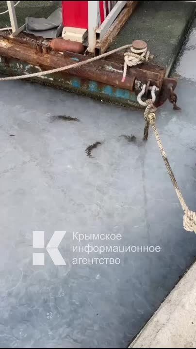 � ��������� ���� ������������ � ��������� ���� �� �����