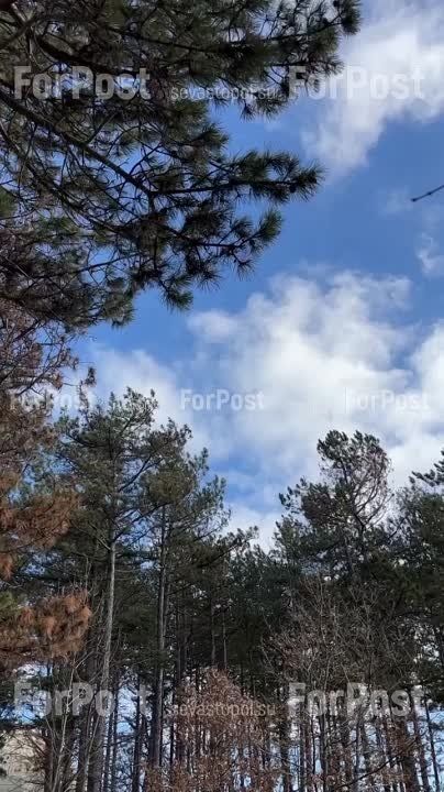 ����� �������� ������� ������ ����� ���� ������� � �����:)