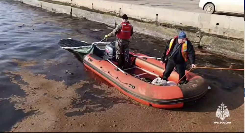 �� ��� ׸����� ���� ������� 5 ����� ���� ������