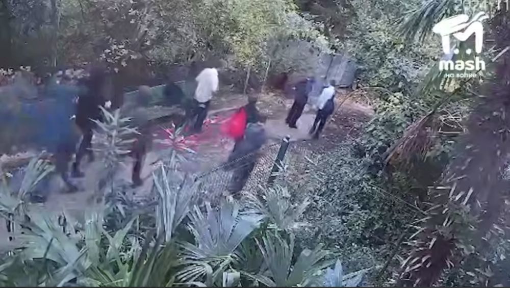����� �������� ���������� ���������� ������� �� ������� � ���� ���������
