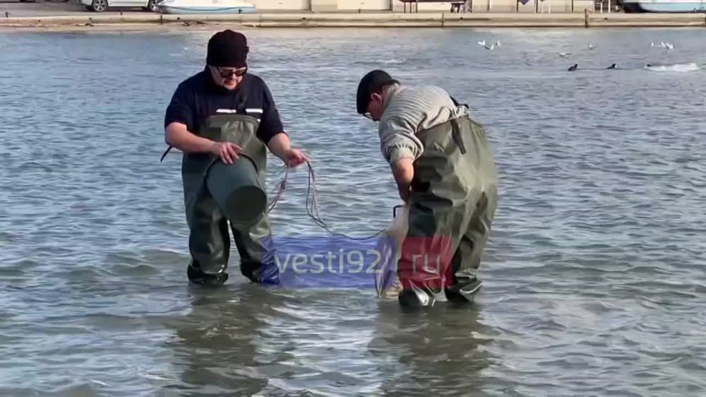 ������� ���������� ����������� ������������ ��� ����� �������� ����� ������� ���� � ������ � ��������������� ������
