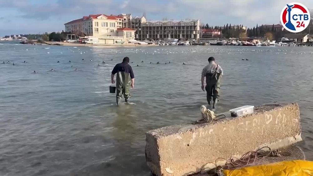 ��������������� ������ ����������� ������� ��� ����� �������� �� ������� ��������������