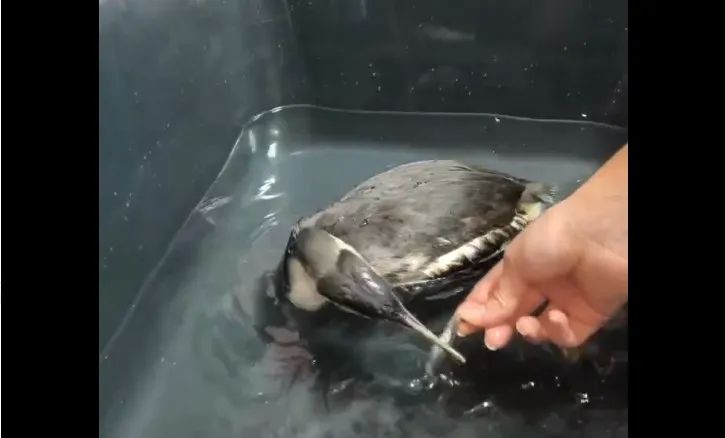 �������� � ����� ��������, ��� ������ ����, ������������ �� ������