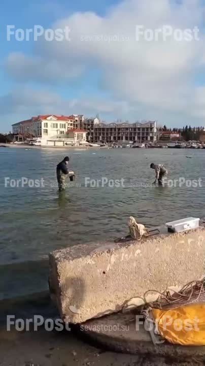 ������ ����� ��������� ������������ ������ �� ��������� �����������