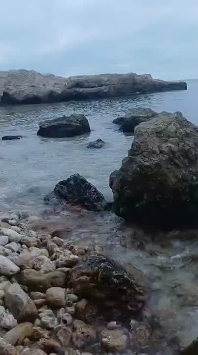 ����� ����� ������ ��������� ��� �������� � ������� �����