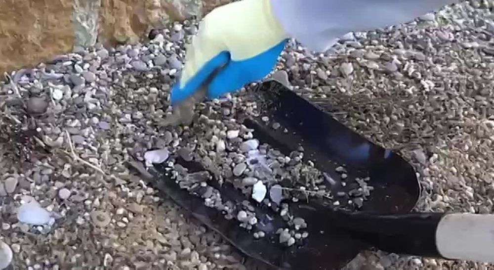 ����������� ����� �������� � ���� �� ������������ ���������