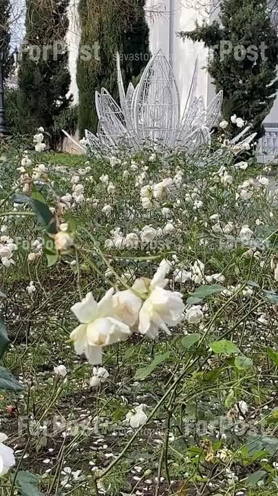 � �������� � ����������� ��������� �����